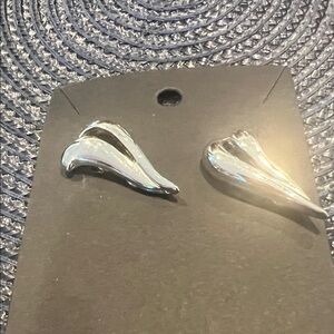 Elegant Silver Tone Earrings